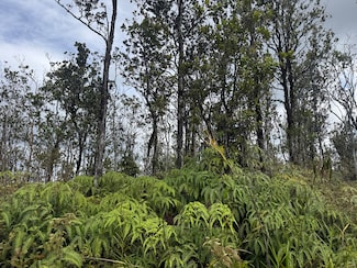 0 Ala Naulani Rd Unit 725570, Volcano, HI 96785