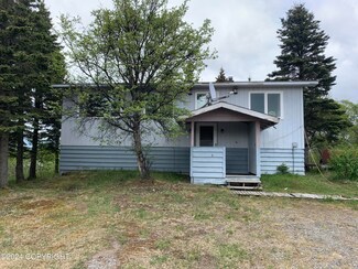 92 Woodbine Dr, Naknek, AK 99633
