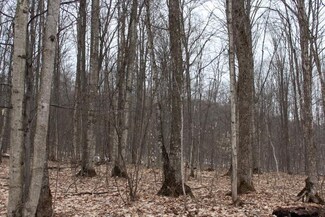 0 Magee Rd Unit 40 acres 304677, Vanderbilt, MI 49795
