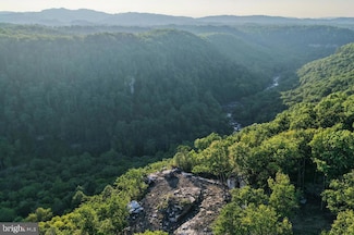 826 Ridge Run Rd, Mount Lookout, WV 26678