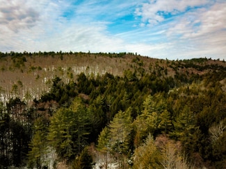 184 Schoolhouse Rd, Jamaica, VT 05343