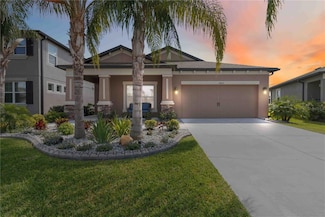 11405 Alachua Creek Ln, Riverview, FL 33579