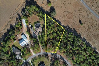1637 County Road 243a, Wildwood, FL 34785