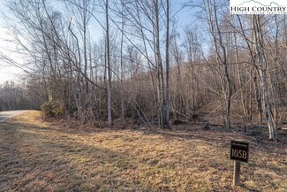 105 Beaver Dam Rd, Elk Park, NC 28622