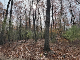 Lot 5 St Laurent Way, Shapleigh, ME 04076