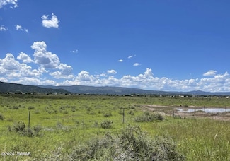 0 Parcel 3 Unit 251560, Springerville, AZ 85938