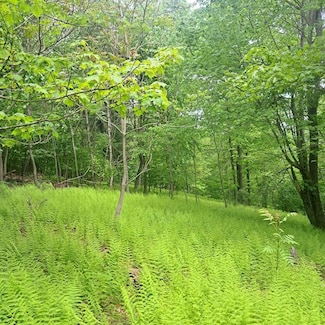 90 Logan Lodge Ln, Loganton, PA 17747