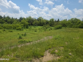 00 Mountaindale Rd, Reade Township, PA 16639