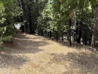 17211 Nile River Dr, Sonora, CA 95370