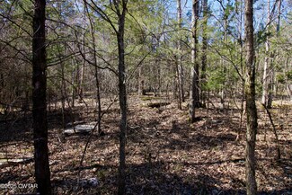 000 Sarah Kennedy Dr, Bath Springs, TN 38311