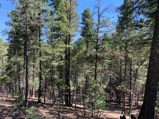 0 Lodge Spring Rd Unit 5&6 171050, Cloudcroft, NM 88317