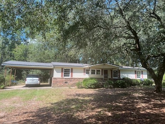 371 Lakeview Dr, Sycamore, GA 31790