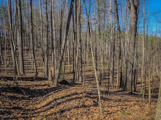TBD Chestnut Falls Ln, Galax, VA 24333