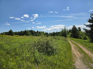 Lots 5B-5C Hersom Rd, Easton, ME 04740