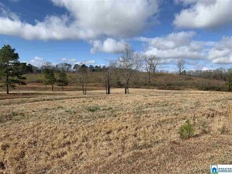 0 Carterton Heights Unit 873537, Eastaboga, AL 36260