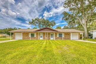 1515 & 1517 Mango Tree Dr, Edgewater, FL 32132