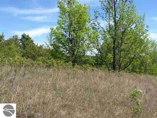 Parcel 2 Sunset Hills Dr Unit 2, Buckley, MI 49620