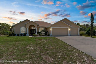 5202 Lydia Ct, Spring Hill, FL 34608