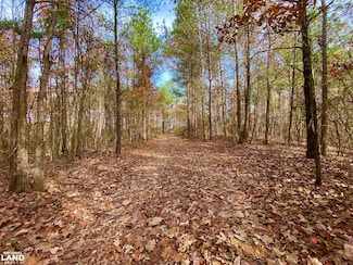0 Beckom Bottom Rd, Moundville, AL 35474