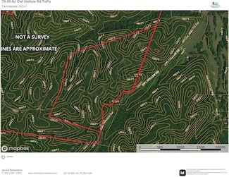 0 Owl Hollow Rd Unit 25332193, Linden, TN 37096