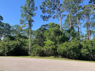 245 Cross Creek Ct, Eastpoint, FL 32328