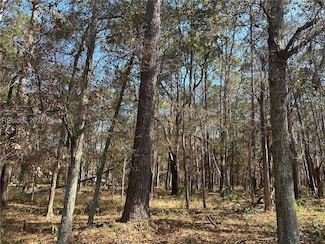 14 Captain Monroe Ln, Daufuskie Island, SC 29915