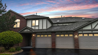 6254 Kallsen Dr Unit 4, Tinley Park, IL 60477