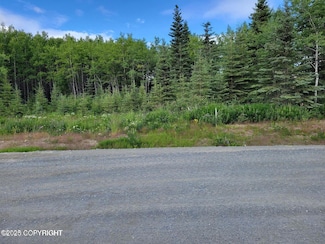 47900 Snipe Ave, Kalifornsky, AK 99669