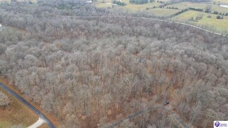 Lot 1 Vinson Rd, Brandenburg, KY 40108