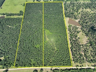 Fodice-2 Road, Pennington, TX 75845
