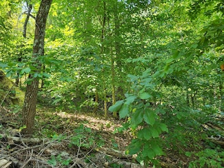 0 Red Ash Rd, Sugar Tree, TN 38380