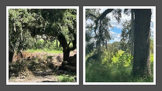 1122 Darity St, Apopka, FL 32703