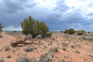 Lot 020B E 24th St N, Snowflake, AZ 85937