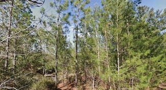 0 Orchid Dr, Interlachen, FL 32148