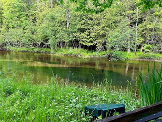 Lot 16 Pine Meadows Dr, Springdale Township, MI 49683