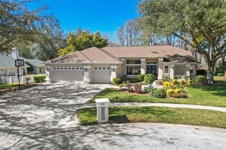 18310 Pleasant Ridge Place, Lutz, FL 33548