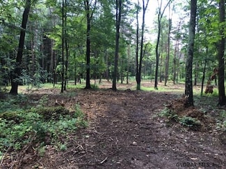 1884 County Route 51, Hannacroix, NY 12087