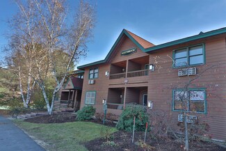 164 Deer Park Dr Unit 159A, Woodstock, NH 03262