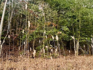 LT 9 Timberline Rd, Murphy, NC 28906