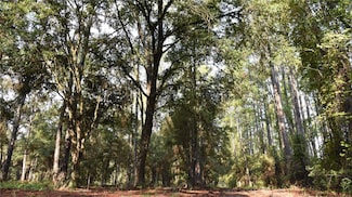 180 Caravelle Farms Rd, Palatka, FL 32177