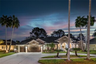 12028 Brewster Dr, Tampa, FL 33626