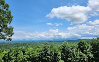 30 Lookout Dr, Blue Ridge, GA 30513