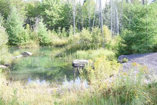 711 Dusty Swamp Rd, Hardwick, VT 05843