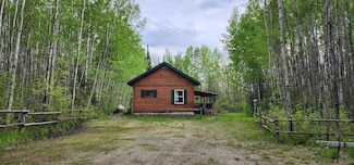 4999 Town Road 166, Littlefork, MN 56653