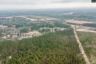 00 Otis Baughman Sr Rd, Wagener, SC 29164