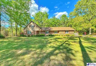 892 Highway 917 E, Latta, SC 29565