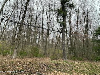 0 Pond Hill Mountain Rd Unit 25-171, Wapwallopen, PA 18660