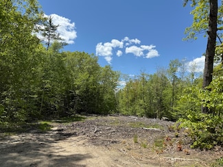 Lot 1 Naples Rd, Harrison, ME 04040