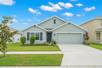 16758 Sunburst Lake St, Wimauma, FL 33598