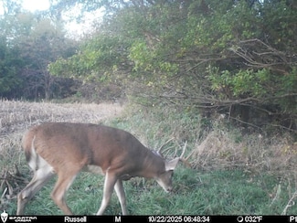 Tbd Y Ave, Westboro, MO 64498